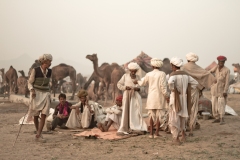 Traders, Camel Fair, India 2013