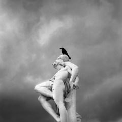 Crow, Paris, France