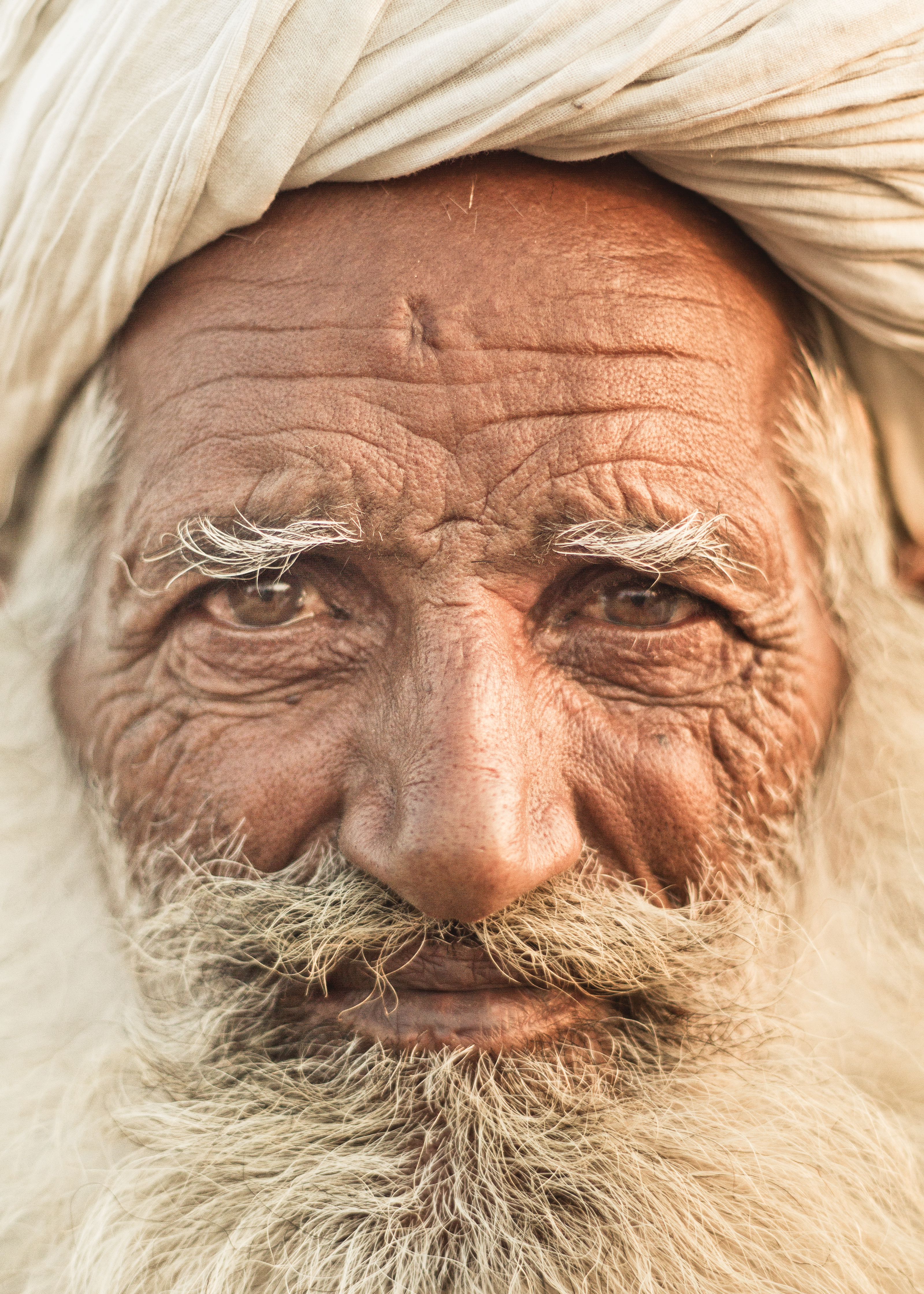 Portrait of Man, Camel Fair , India 2013