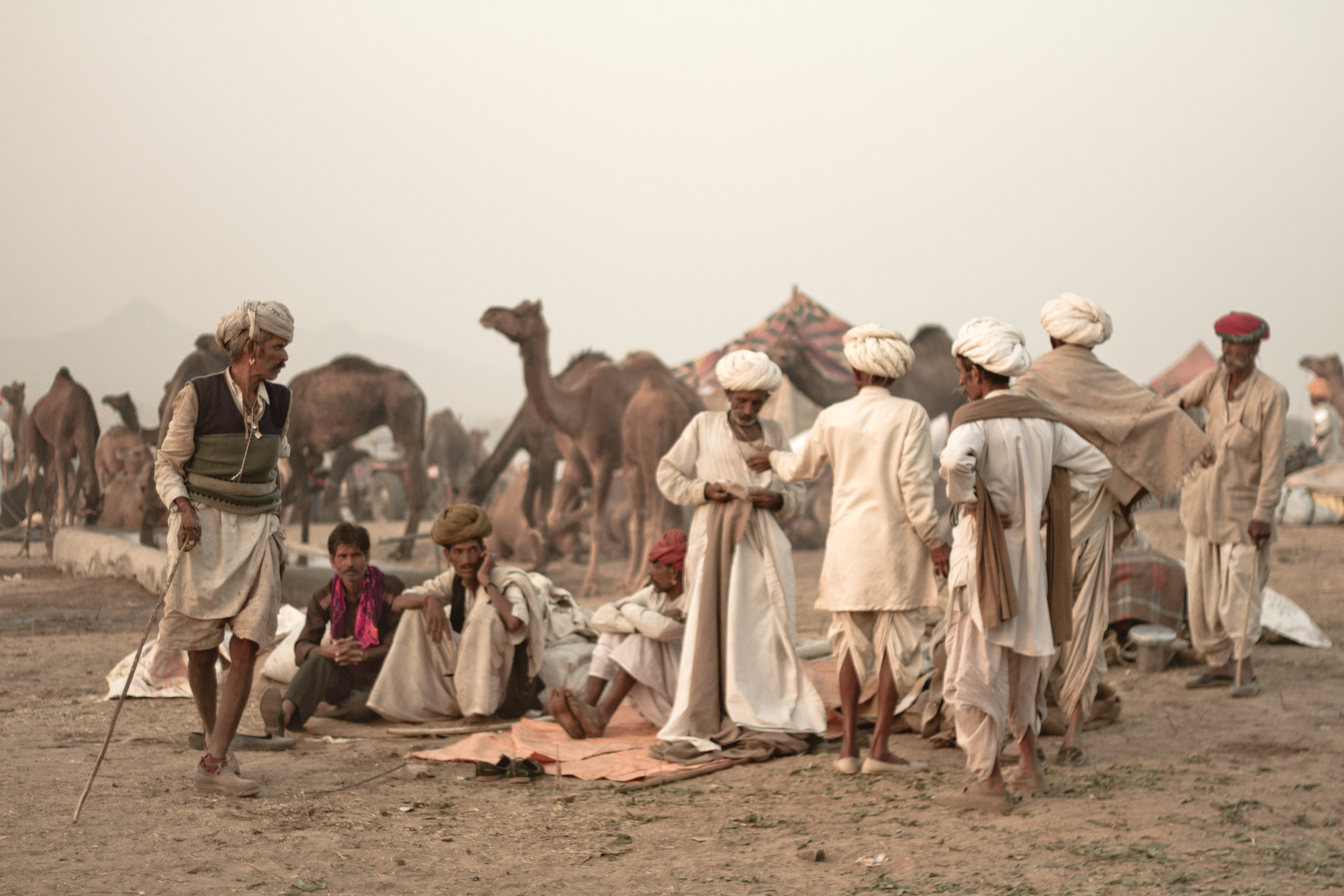 Traders, Camel Fair, India 2013
