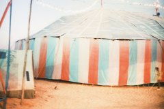 India , fine art, fine art photography, art, artist, Camel fair festival, travel, travel photography, vision, shooting film , analog photography,
