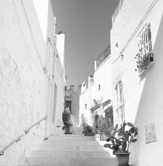 Ostuni, Puglia, ItalyRolleiflex Planar
