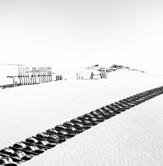 Dunas de Valdevaqueros, Andalucia, Spain