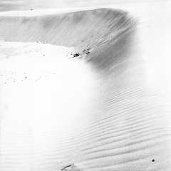 Dunas de Corralejo , Fuerteventura, Spain, Islas Canarias,