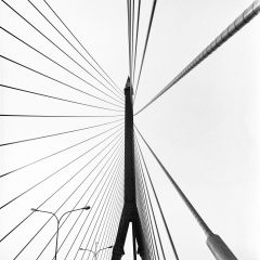 Rama VIII Bridge, Bangkok, Thailand