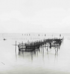 Ko yo, Songhkla, Thailand fish farm rolleiflex planar
