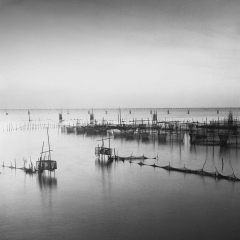 Ko yo, Songhkla, Thailand fish farmrolleiflex planar