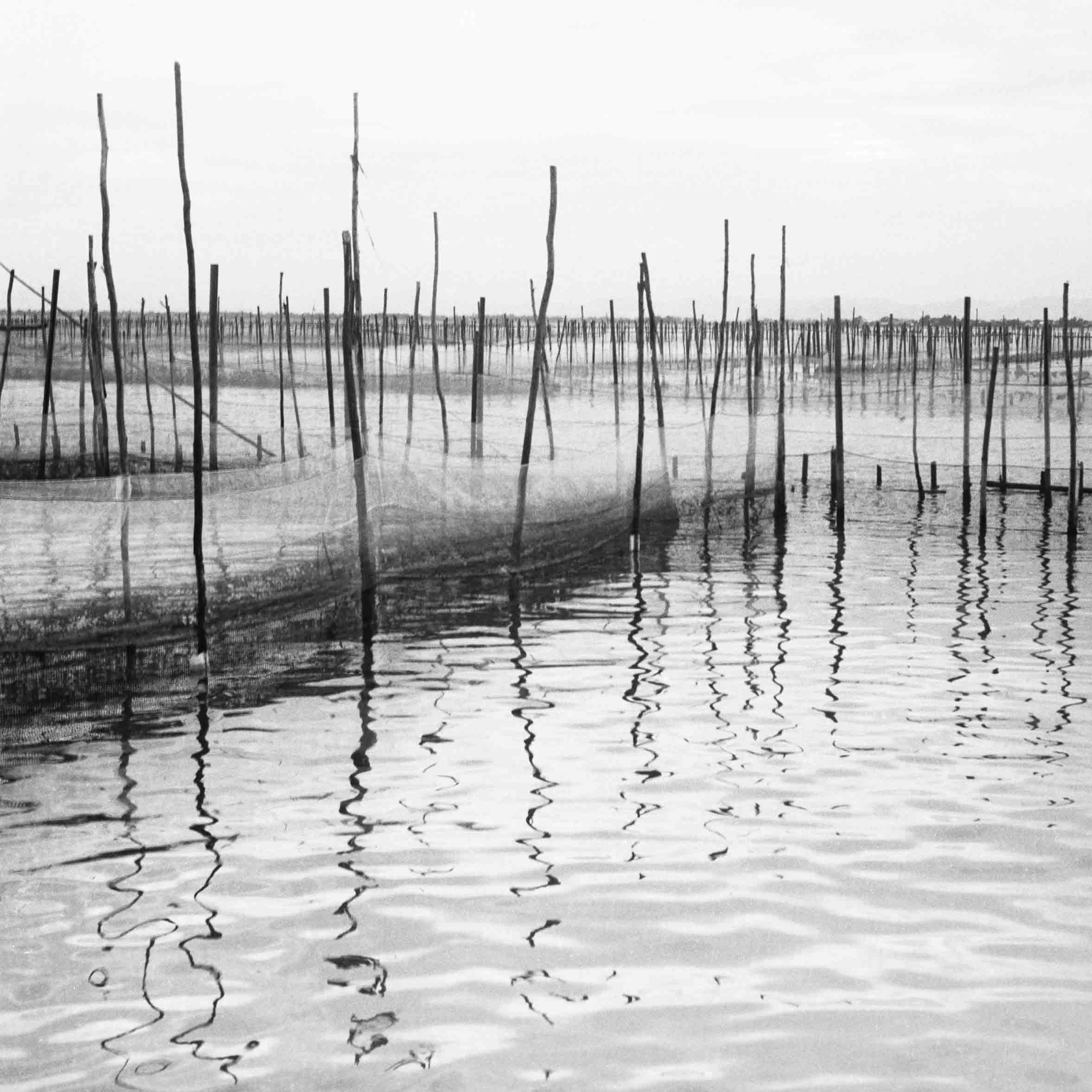 Fisherman farm, Hue Vietnam,Rolleiflex Planar