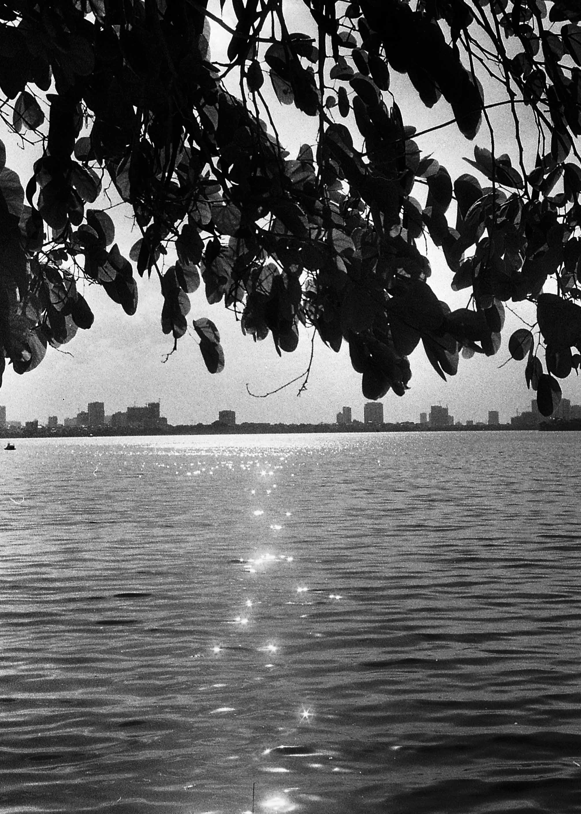 Lake view, Hanoi, VietnamRolleiflex 35mm