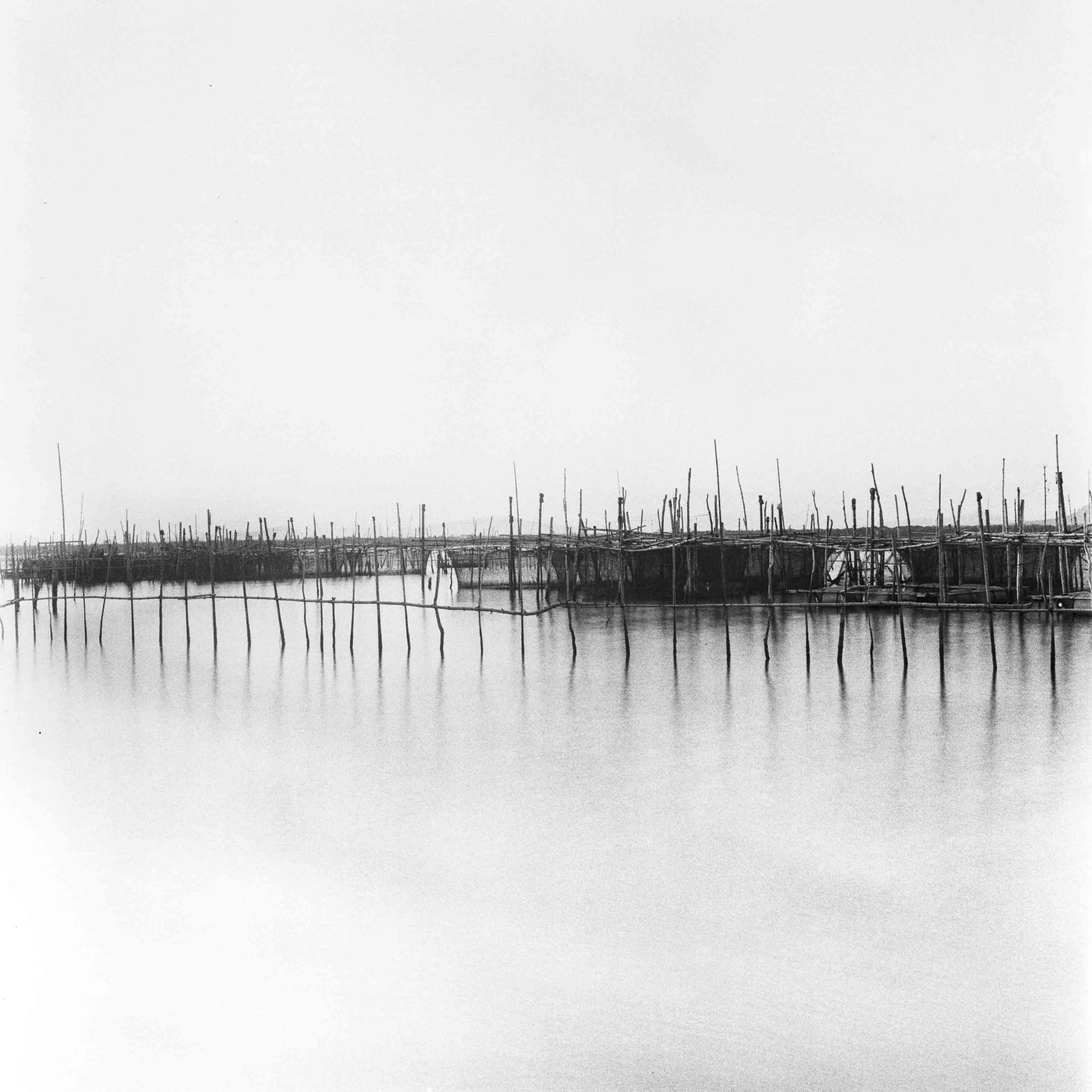 Ko yo, Songhkla, Thailand fish farm rolleiflex planar