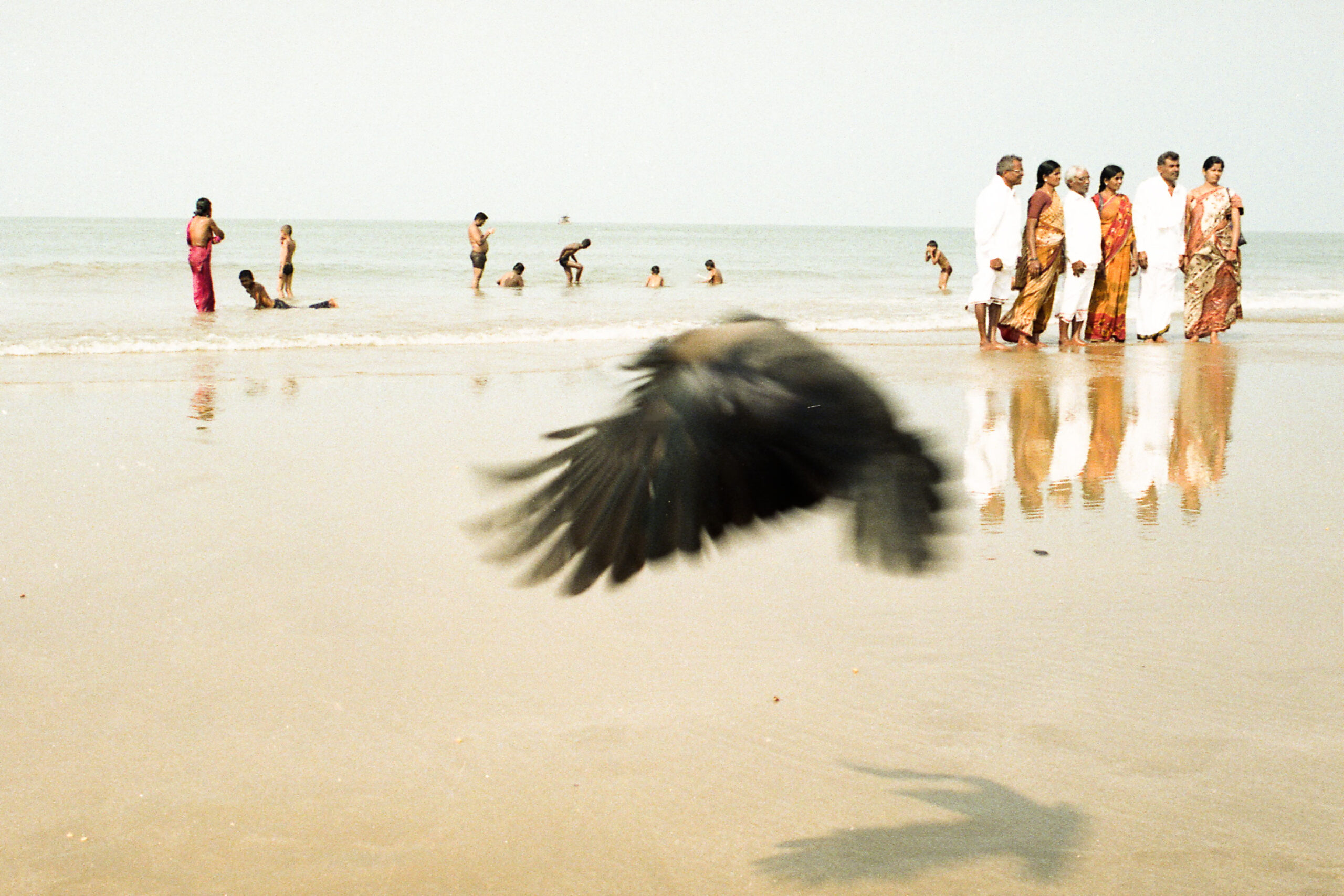 Crow and Pilgrims, Gokarna, Karnataka,India