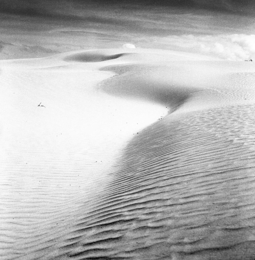 Dunes of Corralejo, Fuerteventura — Walking on the Dunes, fine art photograph by Raffaele Ferrari