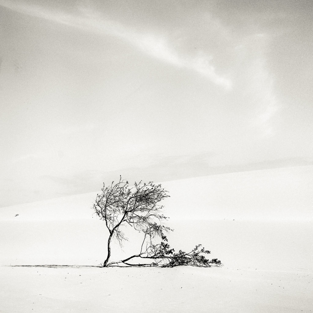 Walking on the Dunes #7 — Walking on the Dunes, fine art photograph by Raffaele Ferrari
