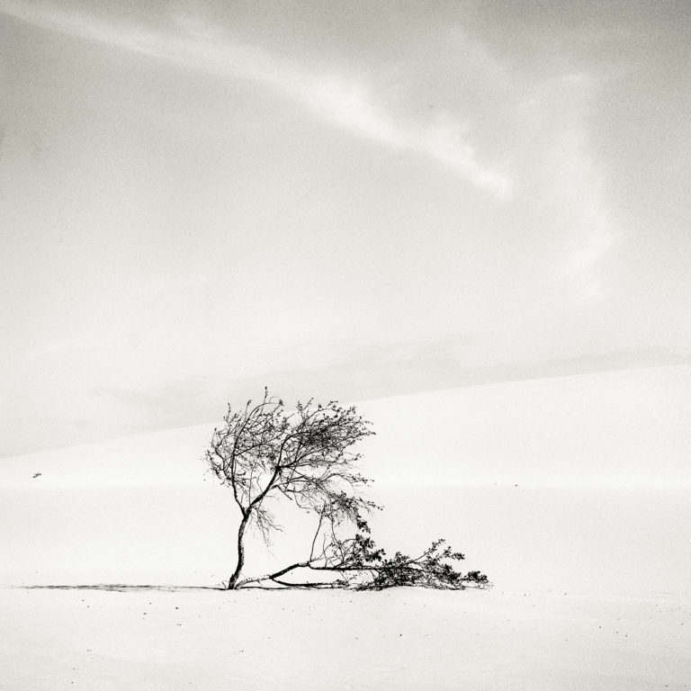Walking on the Dunes #7 — Walking on the Dunes, fine art photograph by Raffaele Ferrari