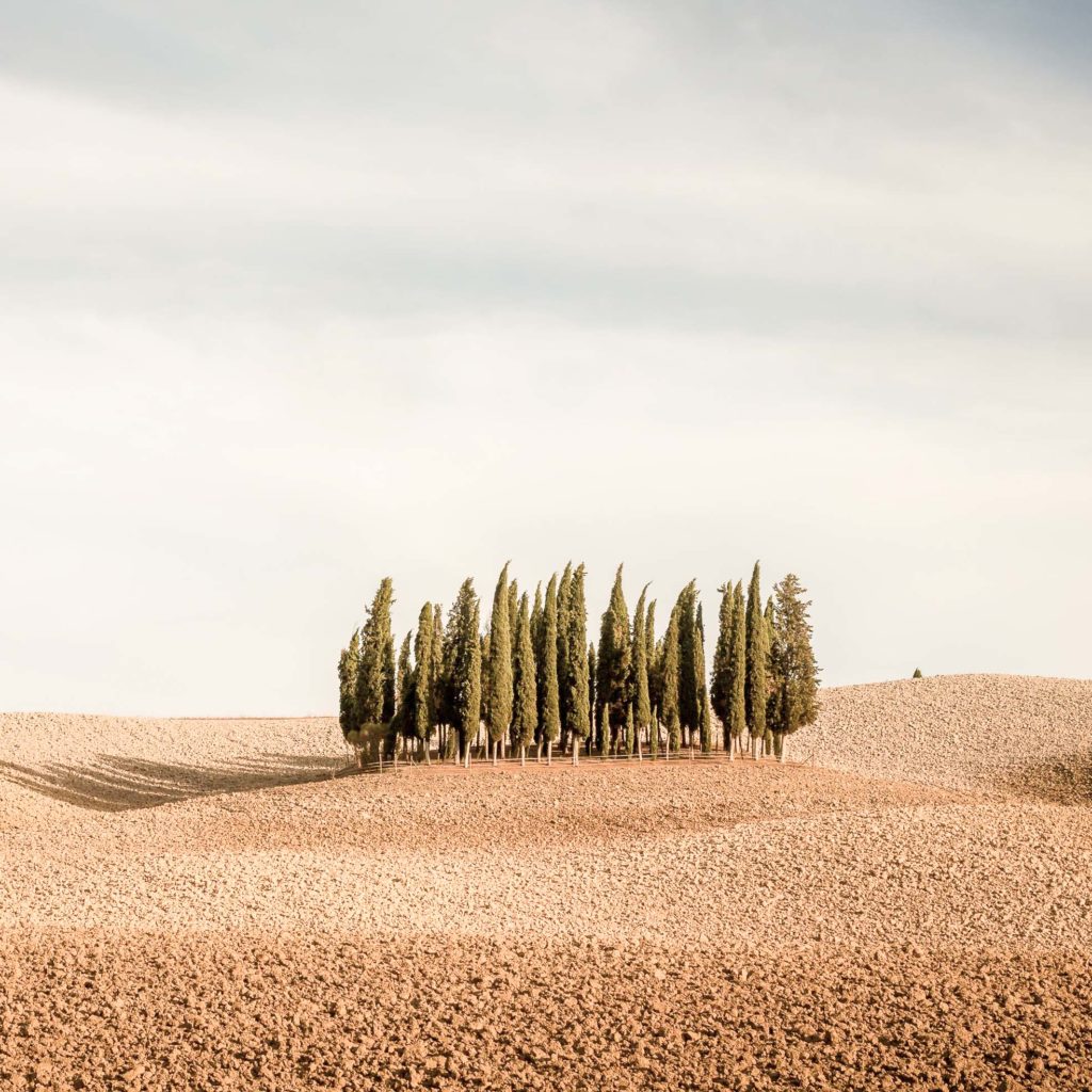 photograph Val D'orcia