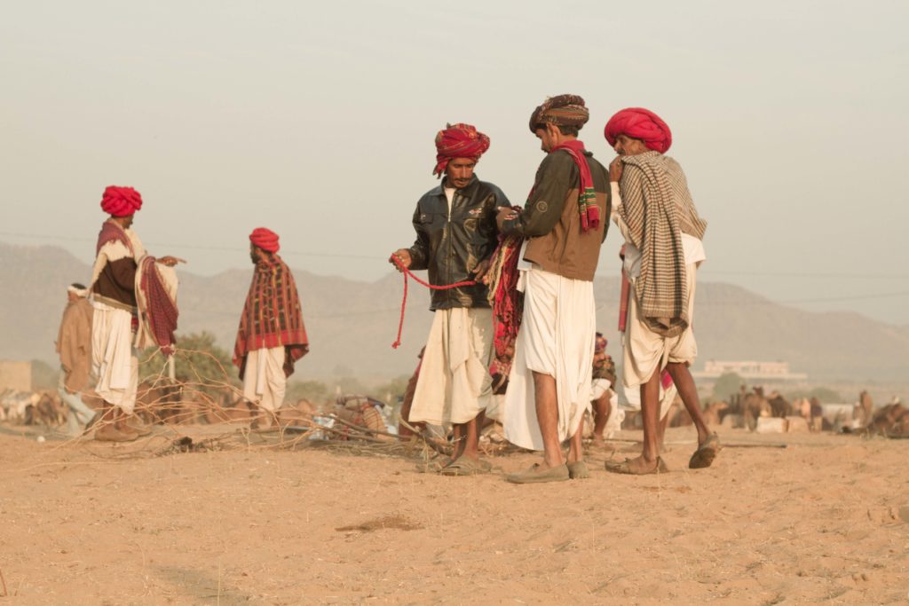 Photographing in camel fair festival