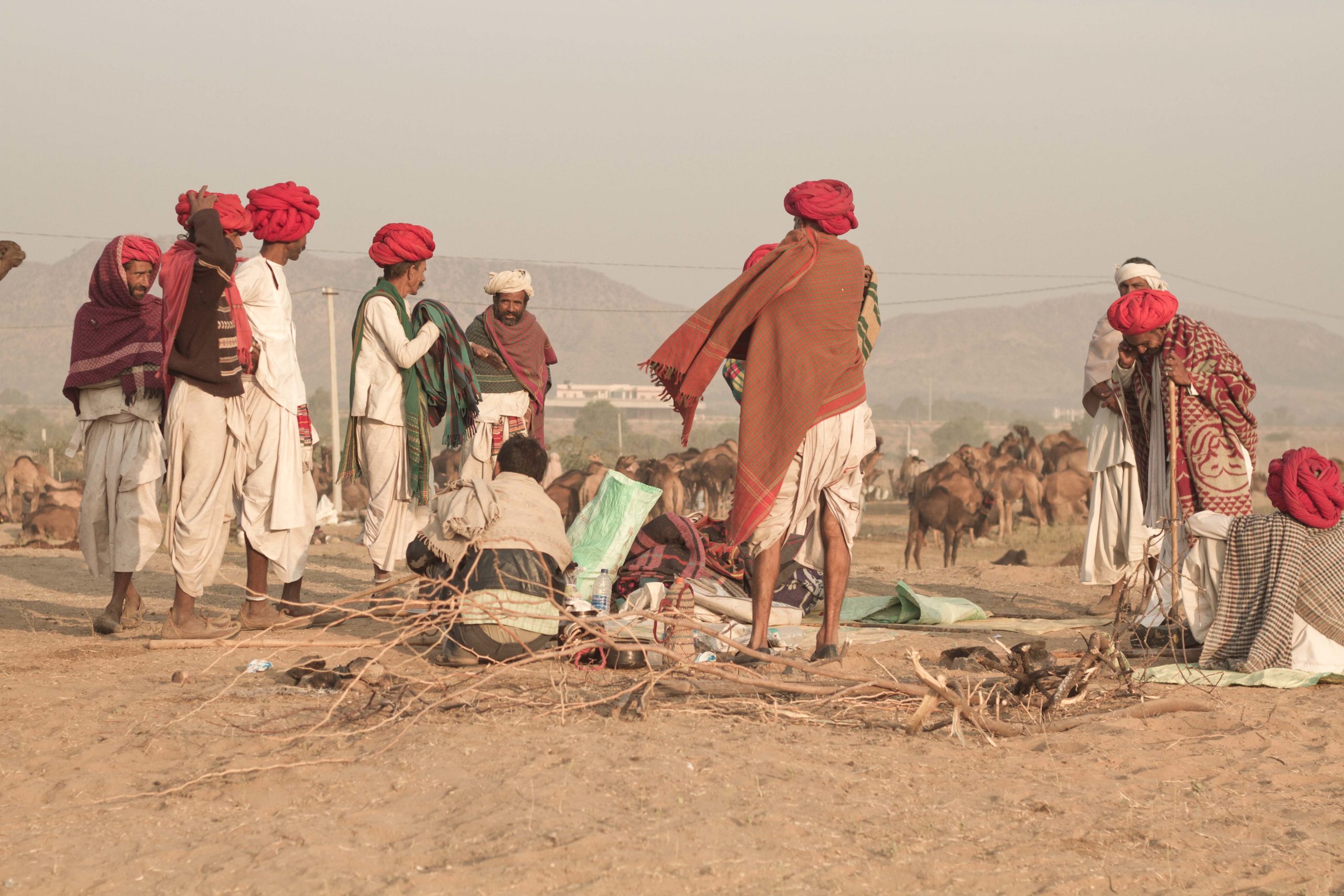 Photography Workshop Camel Fair