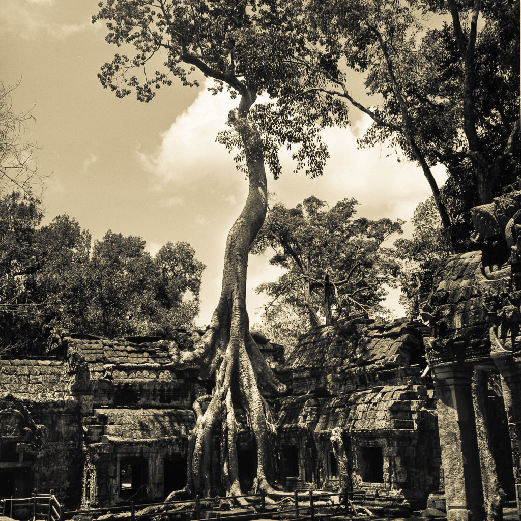 Photograph Angkor Wat