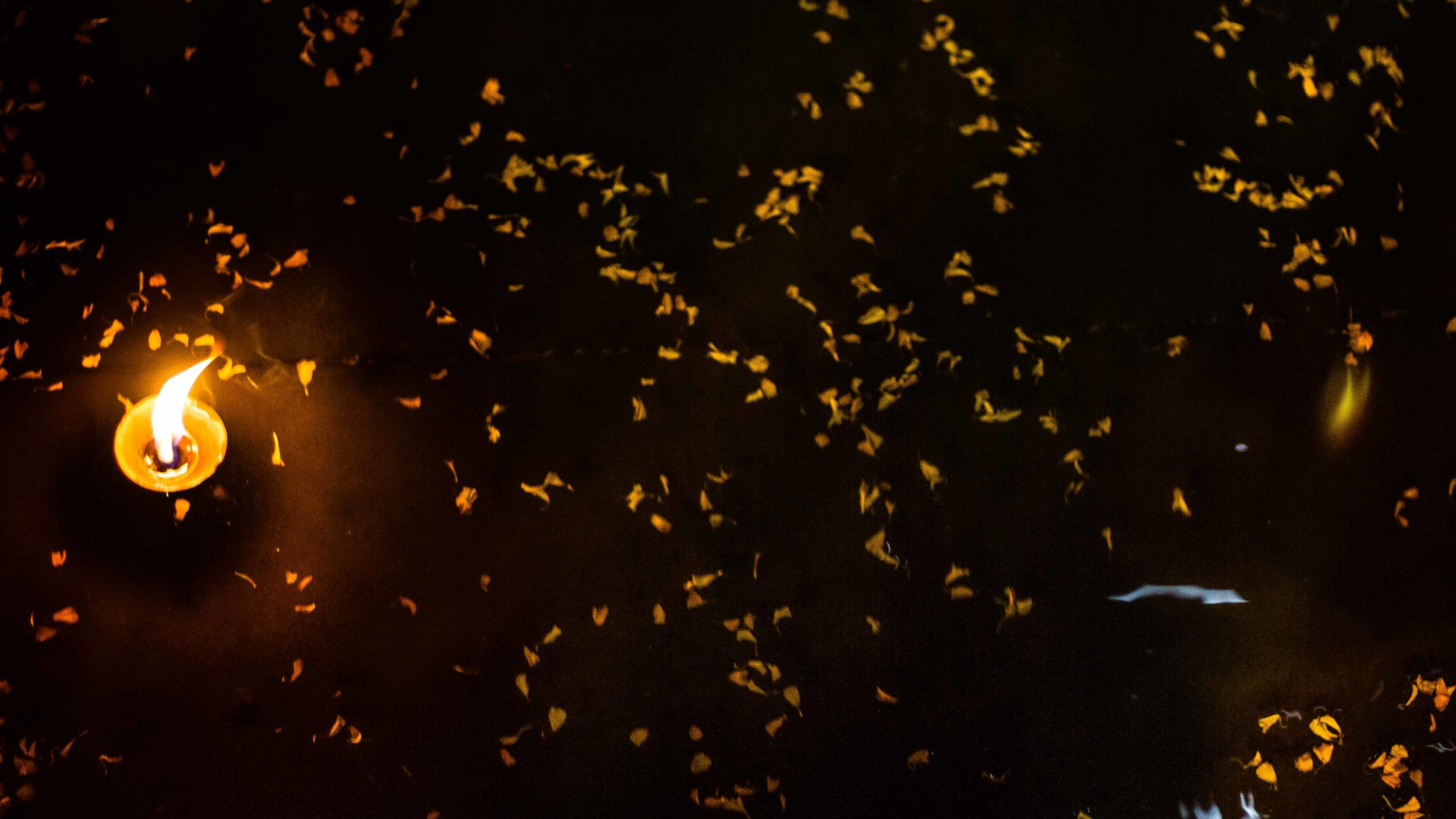 photograph Ganga Aarti