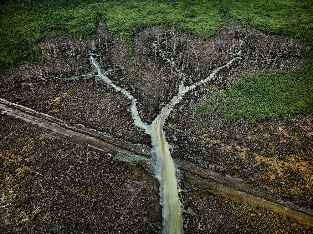 Edward Burtynsky