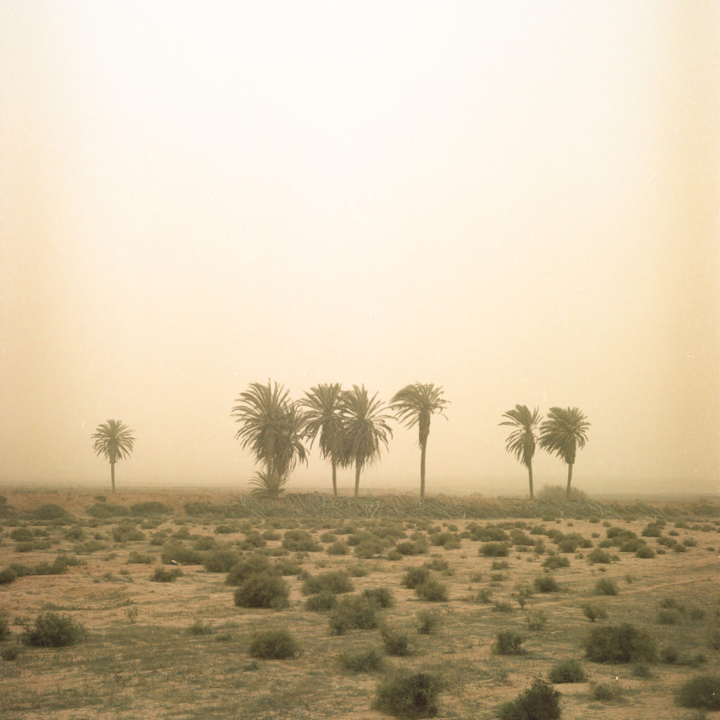 Fuerteventura photo tour