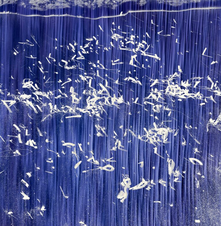 Algae #2, Mare Nostrum — Abstract, fine art photograph by Raffaele Ferrari