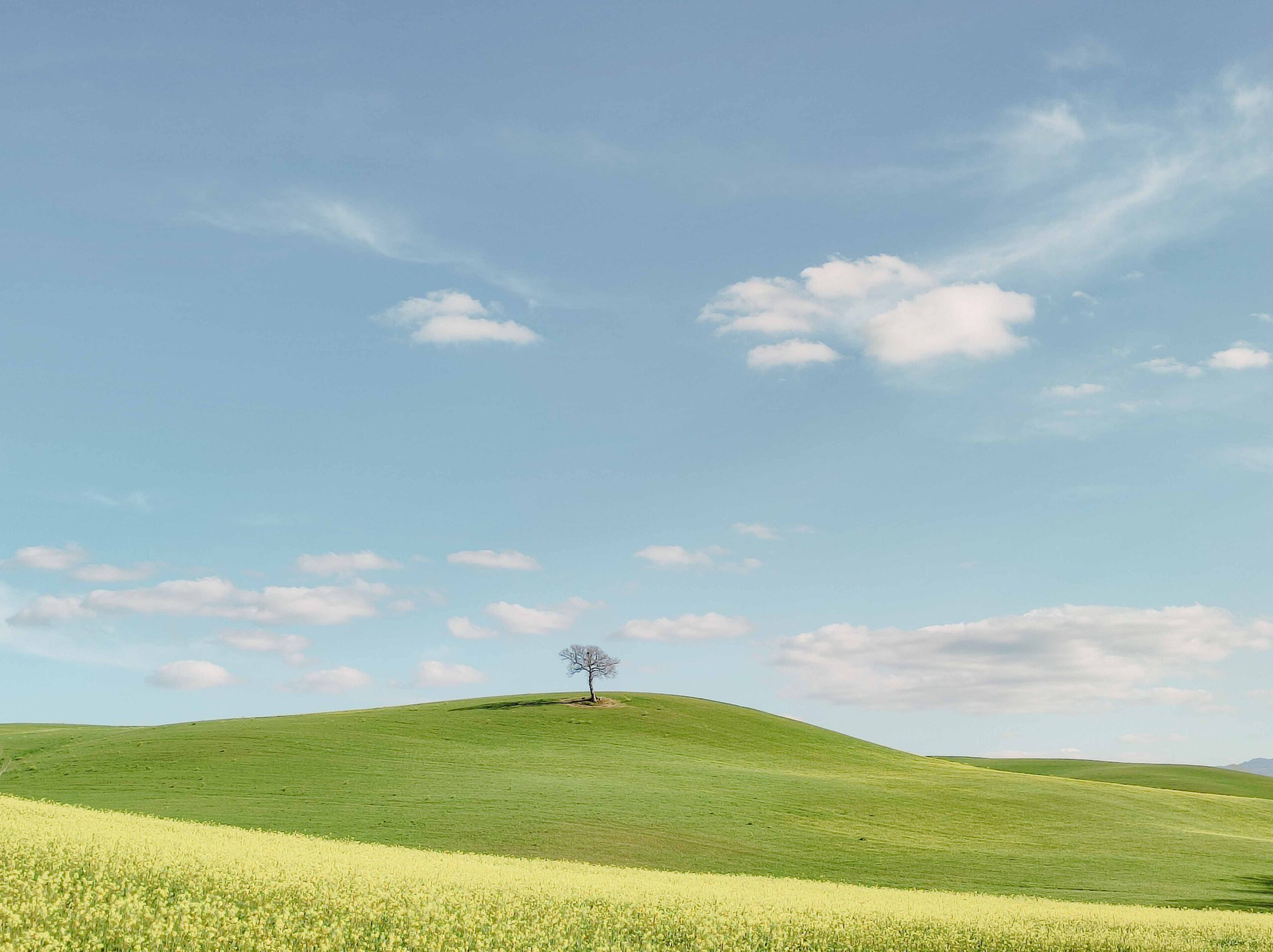 Photograph Val D'orcia