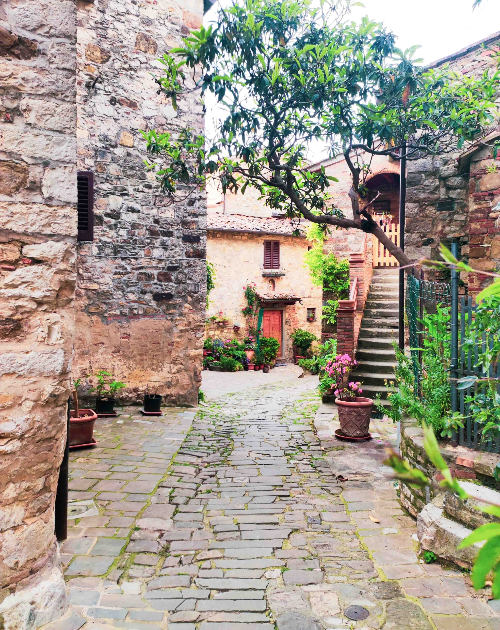 1687771688410_1 Photograph Chianti