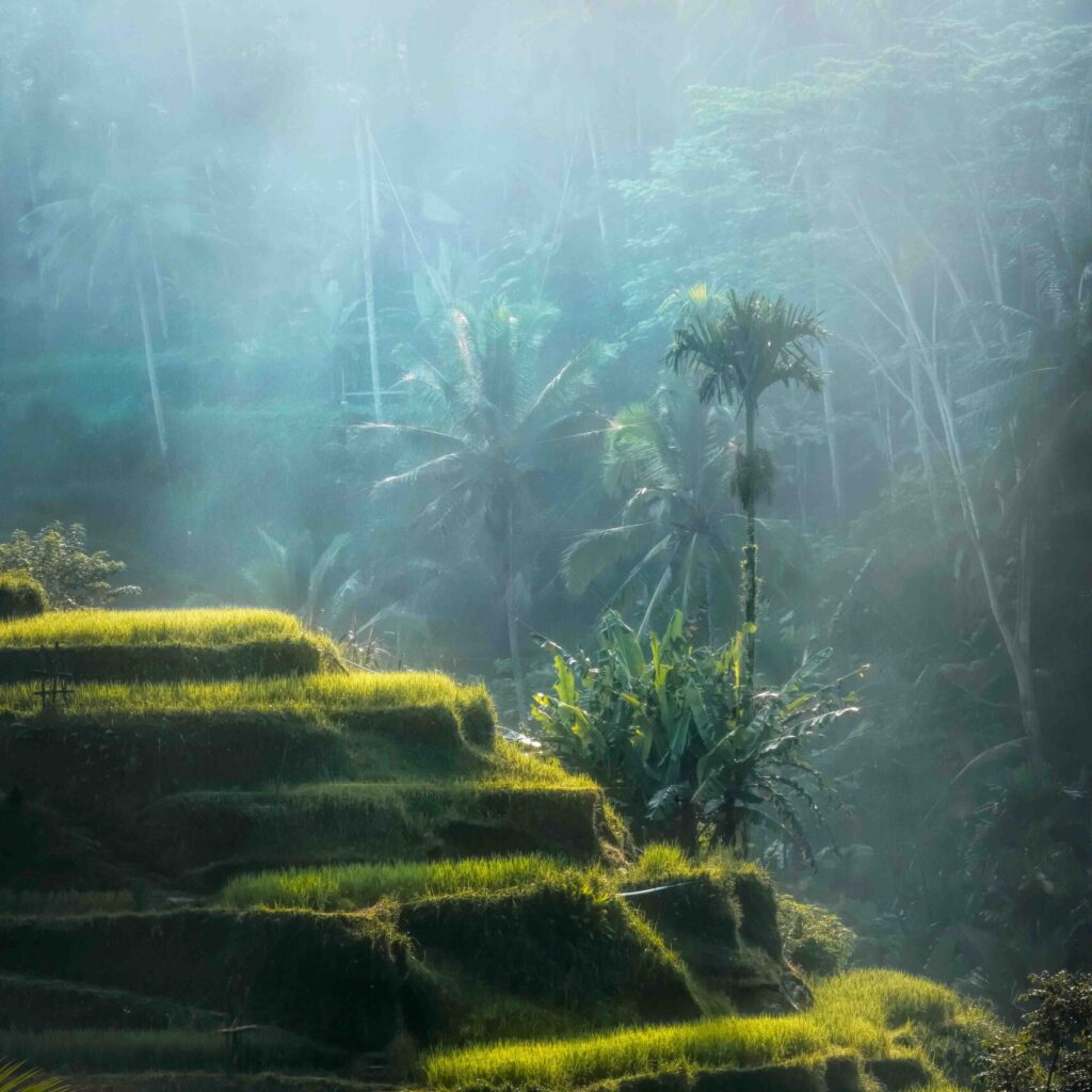Bali Photo Tour